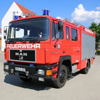 lf16_01.jpg